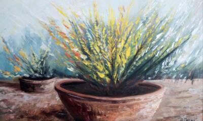 Ginestre in vaso-acrilico su tela- 60x40